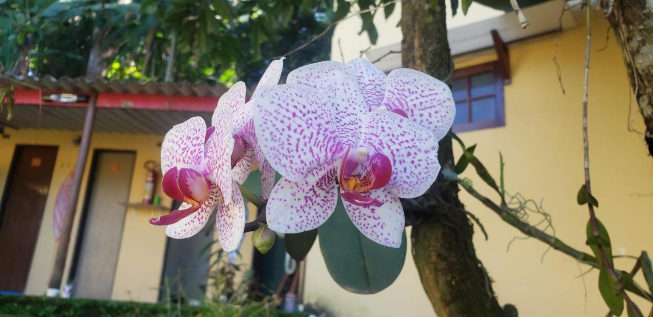 Pousada Mixirica Trindade  Bagian luar foto